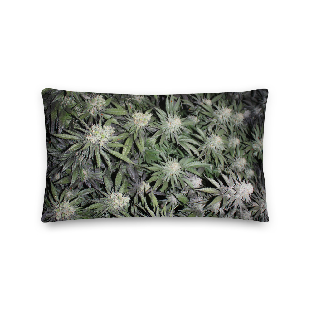 Canopy Print Pillow - Image 4