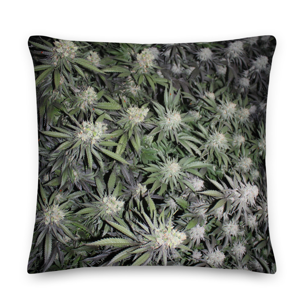 Canopy Print Pillow - Image 5