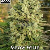 Weed Should Taste Good – Meow Wulf {REG} [12pk]